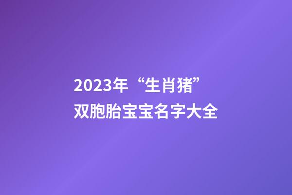 2023年“生肖猪”双胞胎宝宝名字大全