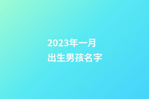 2023年一月出生男孩名字