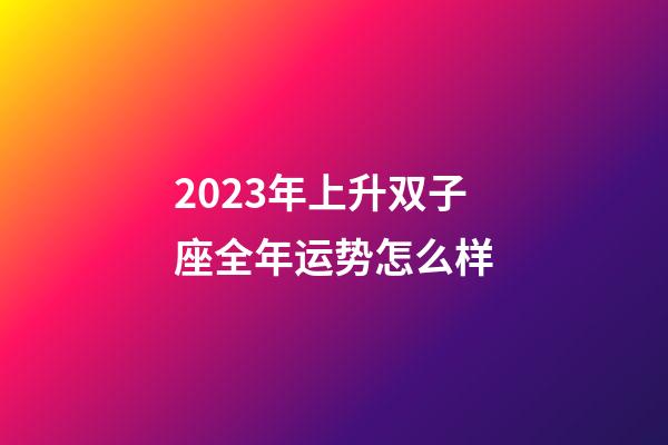 2023年上升双子座全年运势怎么样-第1张-星座运势-玄机派
