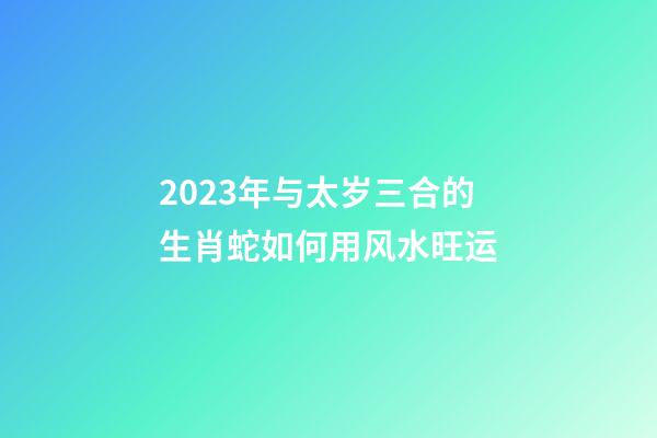 2023年与太岁三合的生肖蛇如何用风水旺运