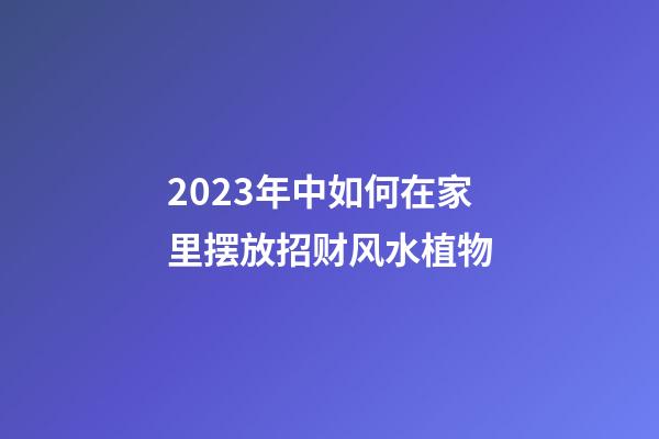 2023年中如何在家里摆放招财风水植物