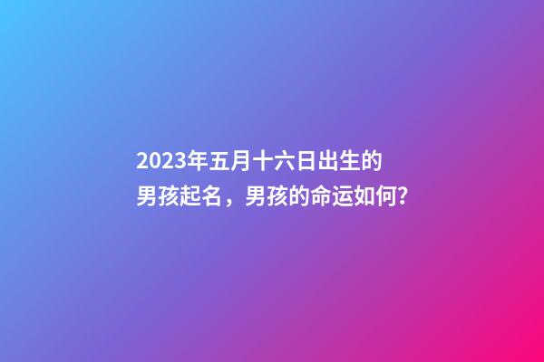 2023年五月十六日出生的男孩起名，男孩的命运如何？