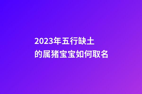 2023年五行缺土的属猪宝宝如何取名