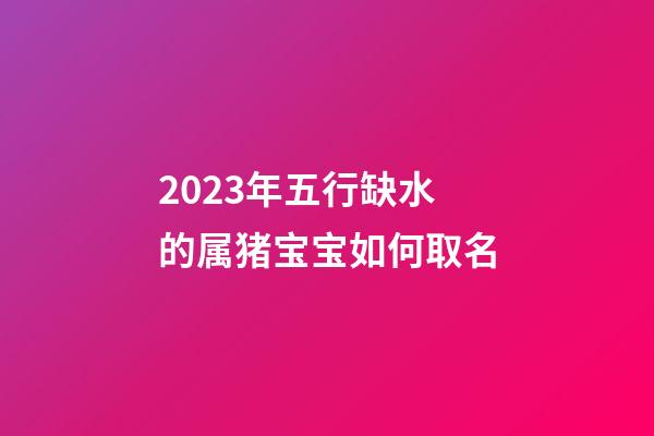 2023年五行缺水的属猪宝宝如何取名