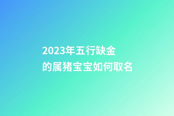 2023年五行缺金的属猪宝宝如何取名