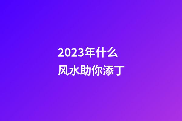 2023年什么风水助你添丁