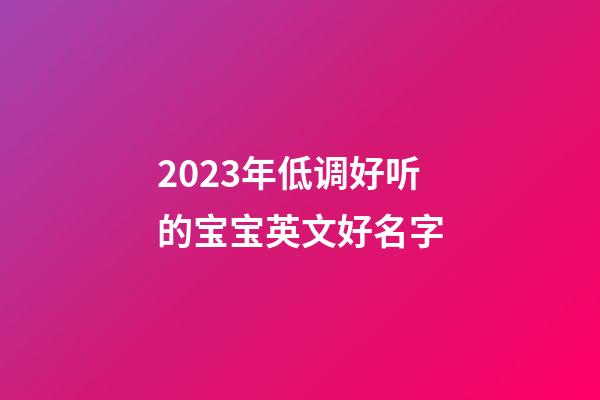 2023年低调好听的宝宝英文好名字