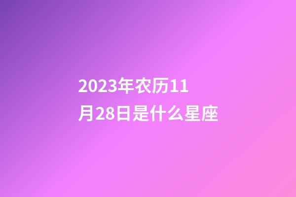 2023年农历11月28日是什么星座（农历2023年11月28日出生的性格特点）-第1张-星座运势-玄机派