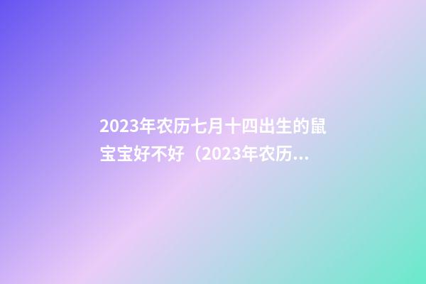 2023年农历七月十四出生的鼠宝宝好不好（2023年农历七月十四出生的鼠宝宝好不好呢）