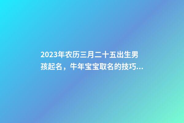 2023年农历三月二十五出生男孩起名，牛年宝宝取名的技巧！