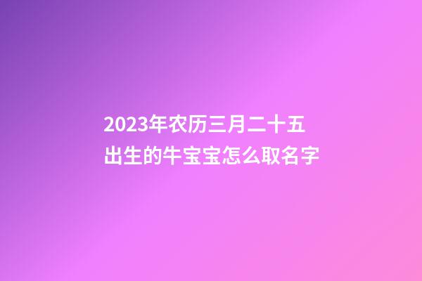 2023年农历三月二十五出生的牛宝宝怎么取名字