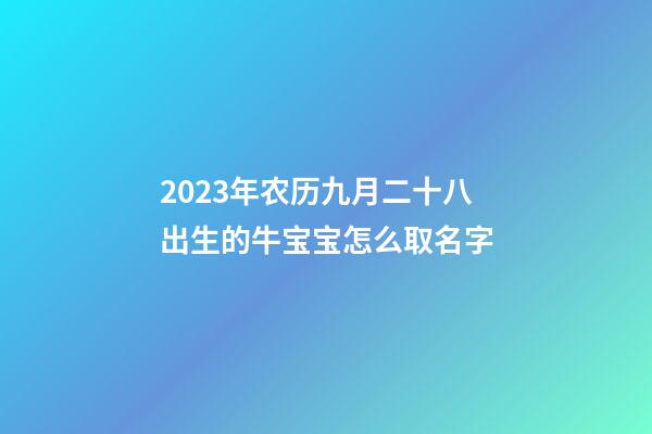 2023年农历九月二十八出生的牛宝宝怎么取名字