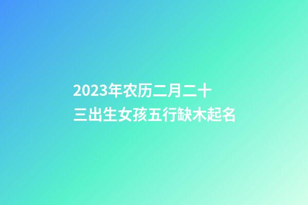 2023年农历二月二十三出生女孩五行缺木起名
