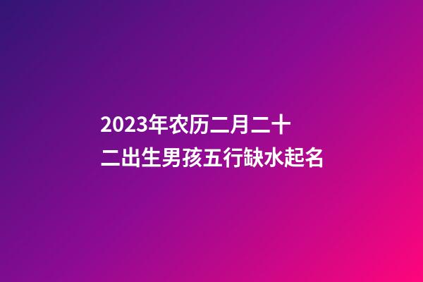 2023年农历二月二十二出生男孩五行缺水起名