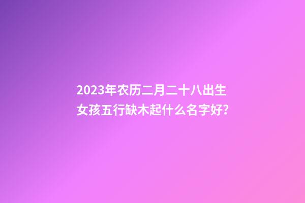 2023年农历二月二十八出生女孩五行缺木起什么名字好？