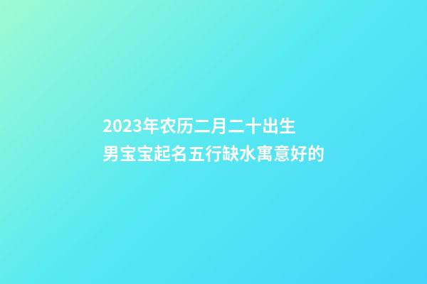 2023年农历二月二十出生男宝宝起名五行缺水寓意好的
