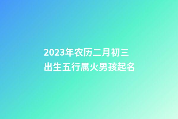 2023年农历二月初三出生五行属火男孩起名