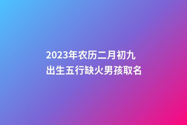 2023年农历二月初九出生五行缺火男孩取名
