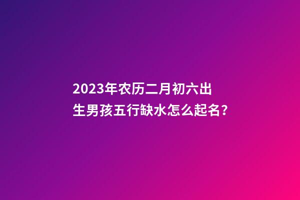 2023年农历二月初六出生男孩五行缺水怎么起名？