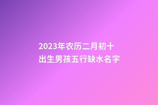 2023年农历二月初十出生男孩五行缺水名字