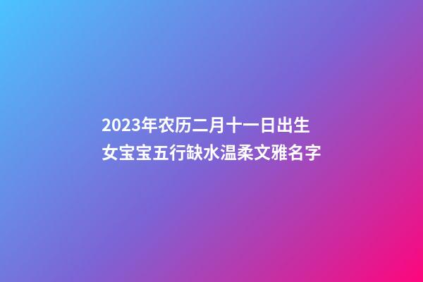 2023年农历二月十一日出生女宝宝五行缺水温柔文雅名字