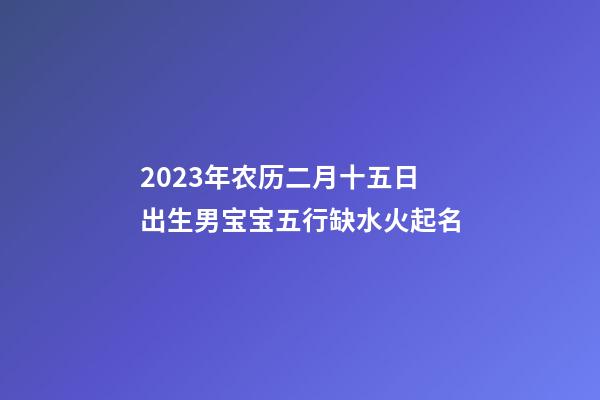 2023年农历二月十五日出生男宝宝五行缺水火起名