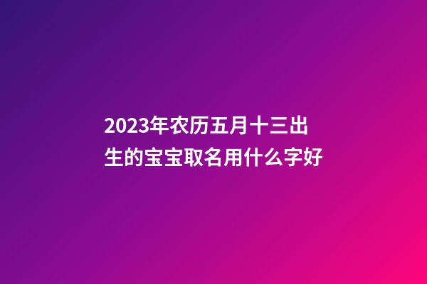 2023年农历五月十三出生的宝宝取名用什么字好
