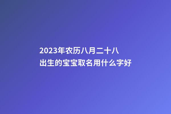2023年农历八月二十八出生的宝宝取名用什么字好