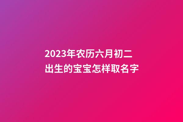 2023年农历六月初二出生的宝宝怎样取名字