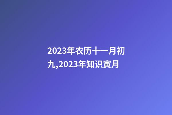 2023年农历十一月初九,2023年知识寅月-第1张-观点-玄机派