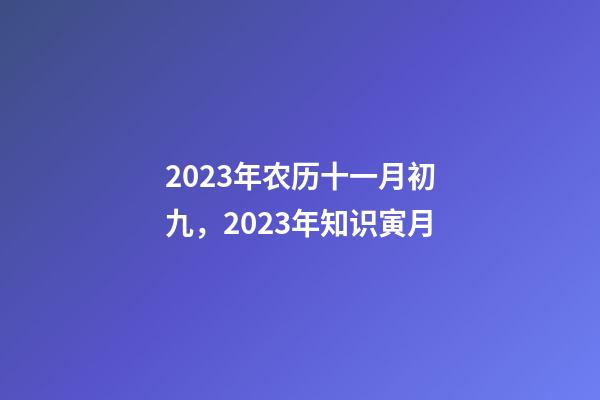 2023年农历十一月初九，2023年知识寅月-第1张-观点-玄机派