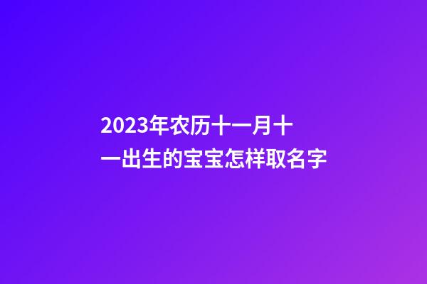 2023年农历十一月十一出生的宝宝怎样取名字