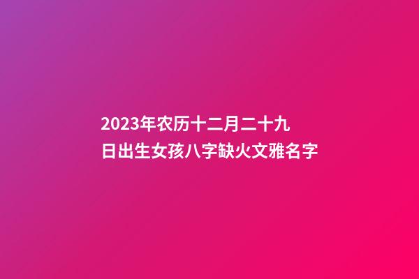 2023年农历十二月二十九日出生女孩八字缺火文雅名字