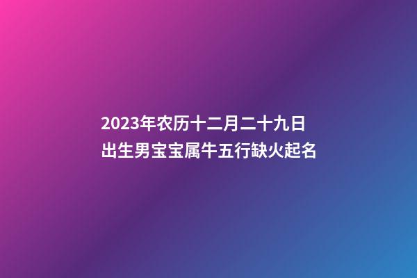 2023年农历十二月二十九日出生男宝宝属牛五行缺火起名