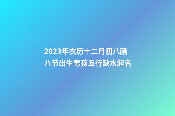2023年农历十二月初八腊八节出生男孩五行缺水起名