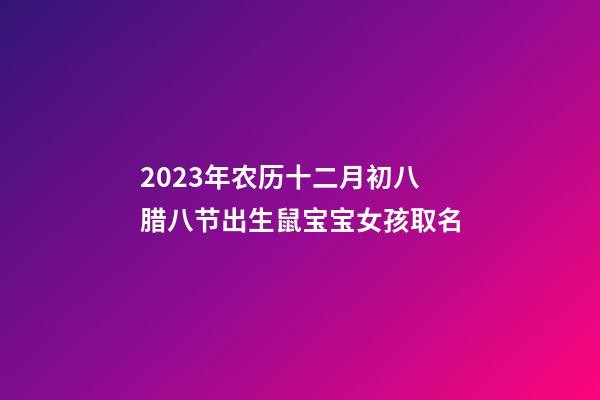 2023年农历十二月初八腊八节出生鼠宝宝女孩取名