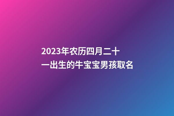 2023年农历四月二十一出生的牛宝宝男孩取名