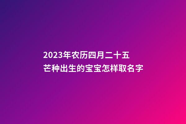 2023年农历四月二十五芒种出生的宝宝怎样取名字