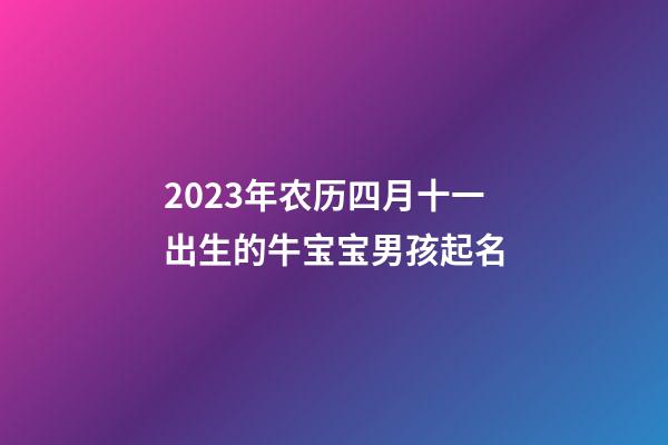 2023年农历四月十一出生的牛宝宝男孩起名