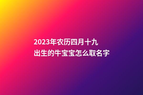 2023年农历四月十九出生的牛宝宝怎么取名字