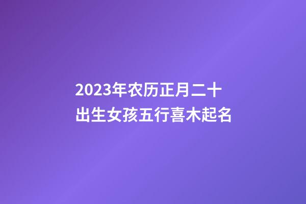 2023年农历正月二十出生女孩五行喜木起名