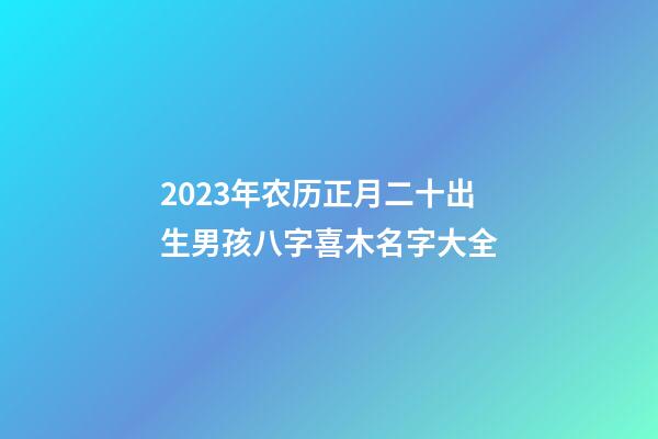 2023年农历正月二十出生男孩八字喜木名字大全