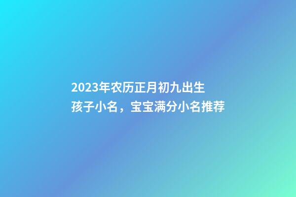 2023年农历正月初九出生孩子小名，宝宝满分小名推荐