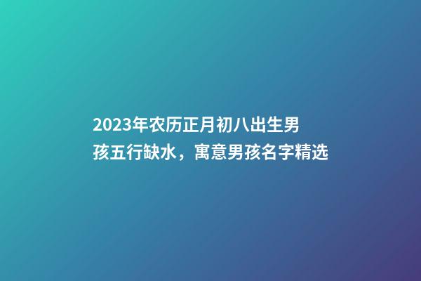 2023年农历正月初八出生男孩五行缺水，寓意男孩名字精选