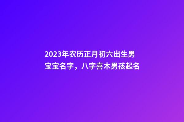 2023年农历正月初六出生男宝宝名字，八字喜木男孩起名