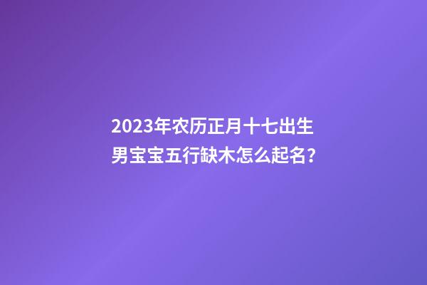2023年农历正月十七出生男宝宝五行缺木怎么起名？