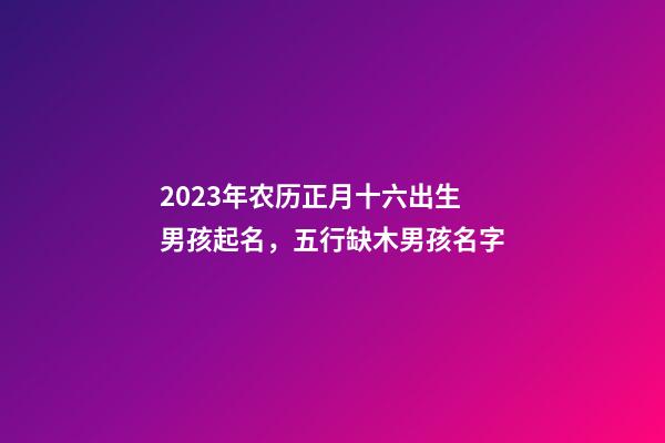 2023年农历正月十六出生男孩起名，五行缺木男孩名字