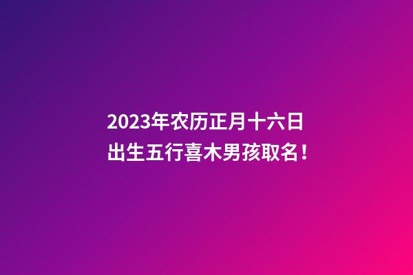2023年农历正月十六日出生五行喜木男孩取名！