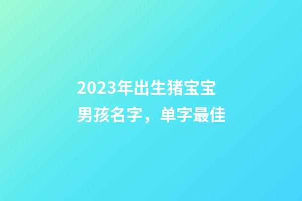 2023年出生猪宝宝男孩名字，单字最佳