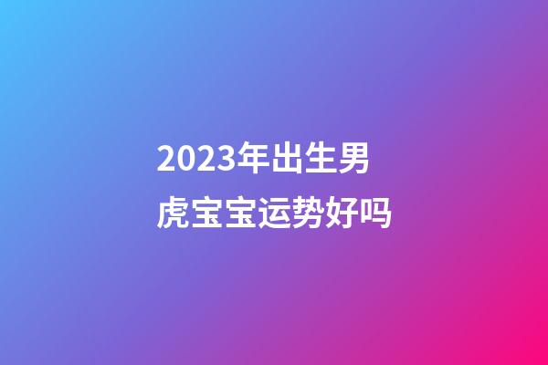 2023年出生男虎宝宝运势好吗